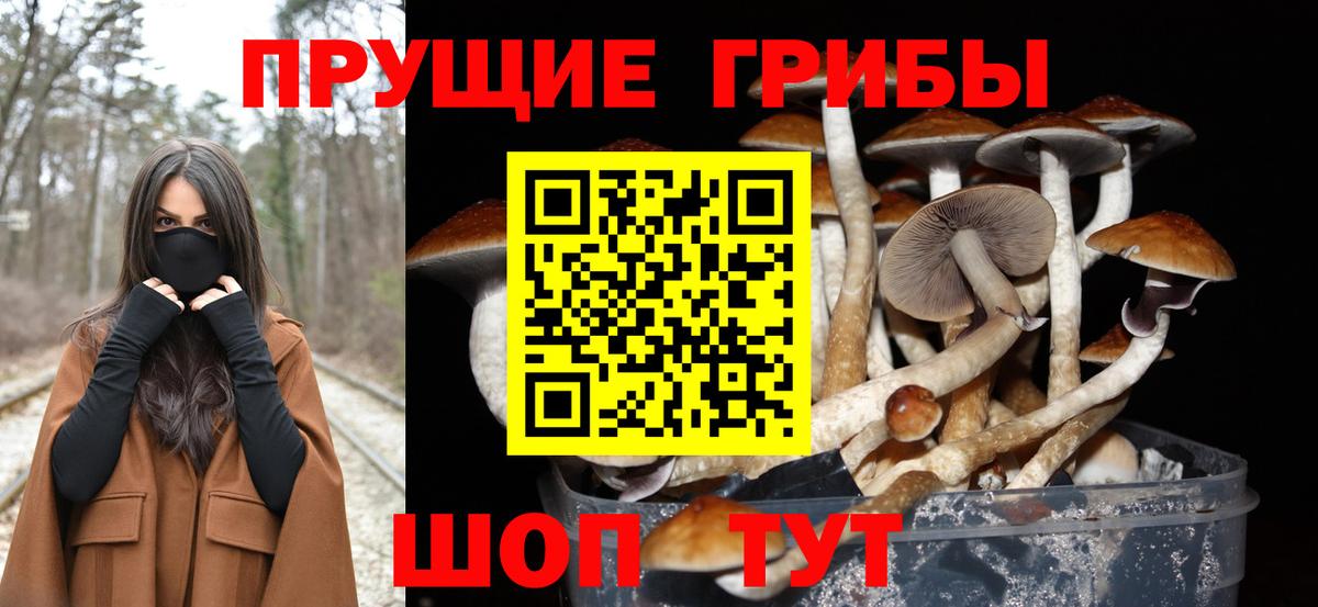 Псилоцибиновые грибы прущие грибы  Вход с VPN  Краснознаменск  купить наркоту  Галлюциногенные грибы прущие грибы 